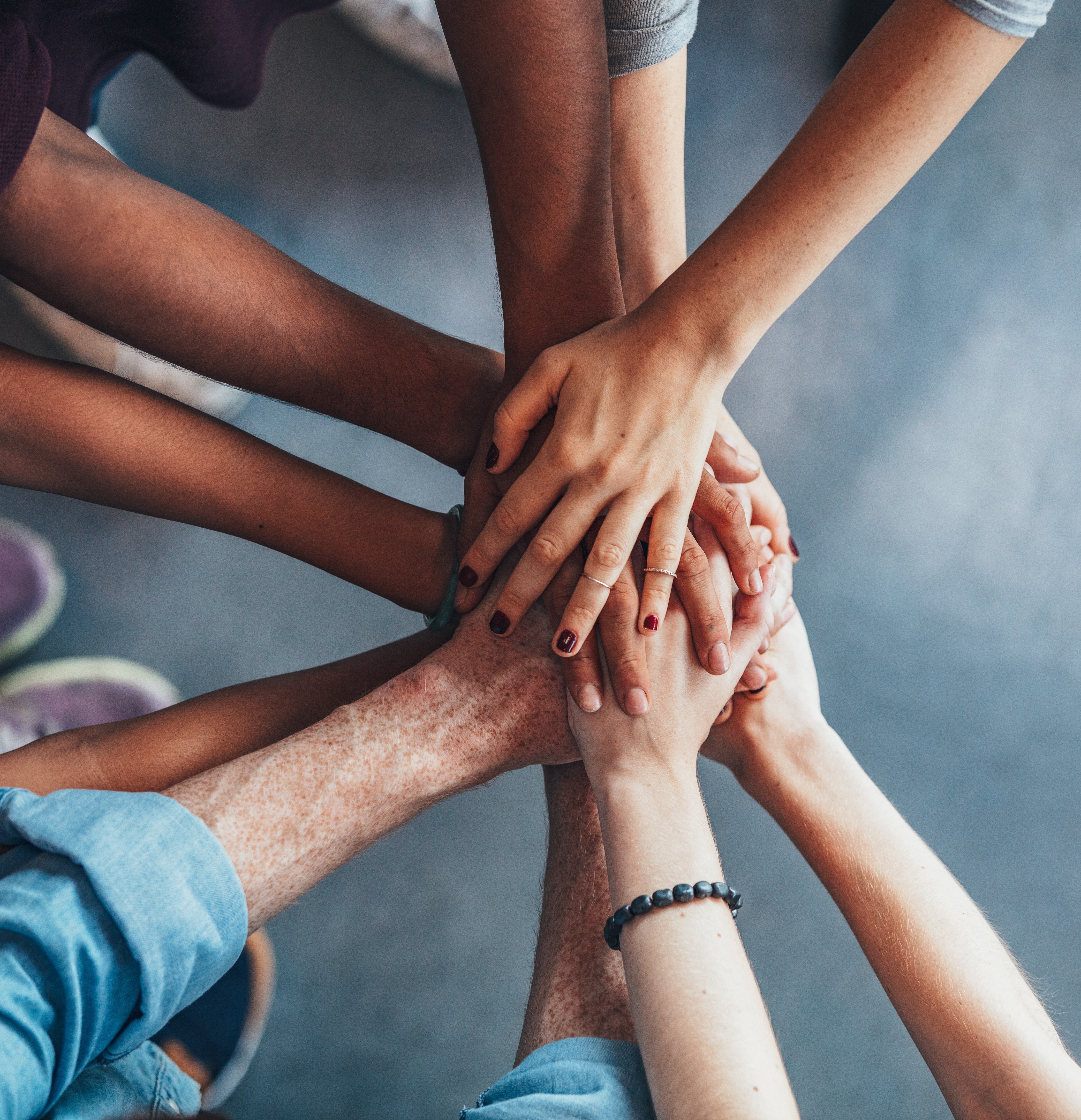 OneShare Health's June Non-Profit Charity Partner